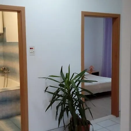 Spacious Family With Parking In The Shade And Barbecue House Appartement *