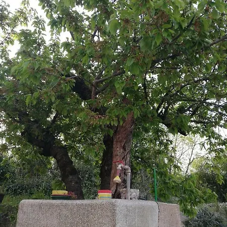 Spacious Family With Parking In The Shade And Barbecue House Lejlighed Šibenik