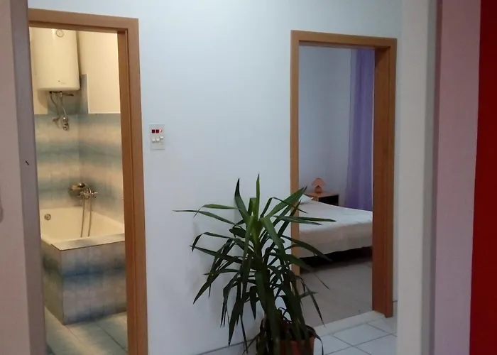 Spacious Family With Parking In The Shade And Barbecue House Appartamento *