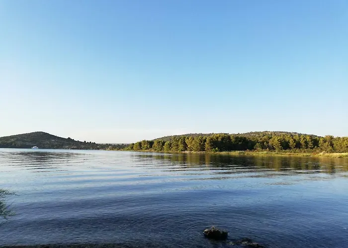Spacious Family With Parking In The Shade And Barbecue House Appartamento