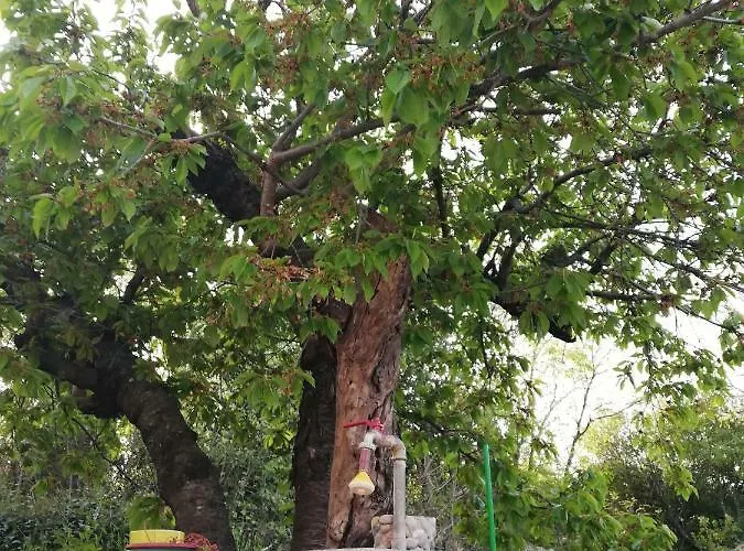 Spacious Family With Parking In The Shade And Barbecue House Appartamento Šibenik
