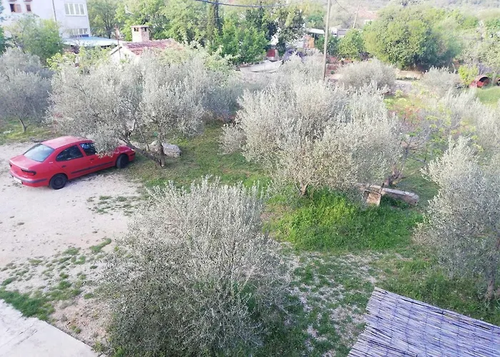 Spacious Family With Parking In The Shade And Barbecue House Appartamento