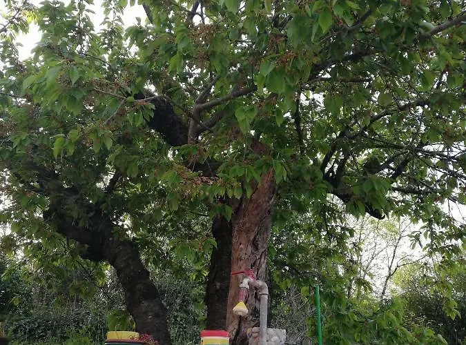 Spacious Family With Parking In The Shade And Barbecue House Appartamento Šibenik