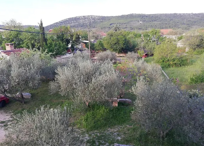 Spacious Family With Parking In The Shade And Barbecue House